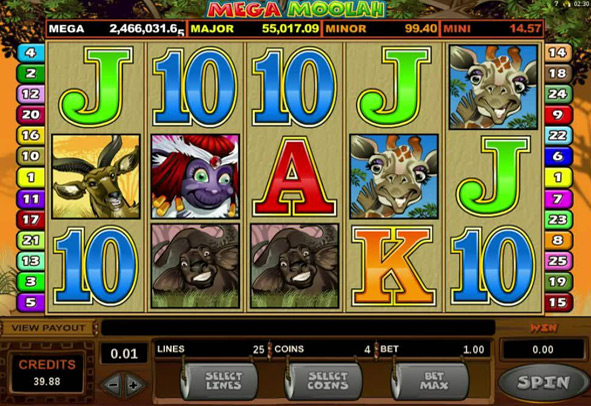 Mega Moolah™ slot