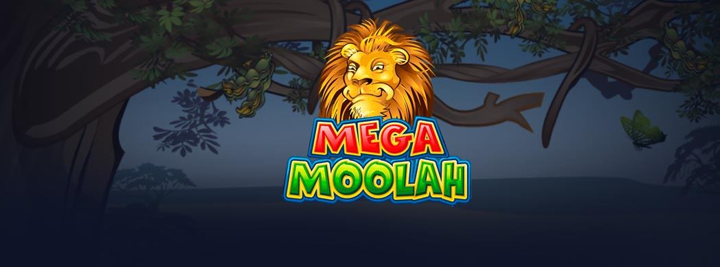 Mega moolah jackpot won